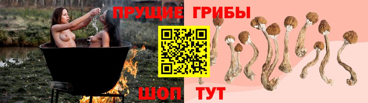Псилоцибиновые грибы Psilocybe Тольятти
