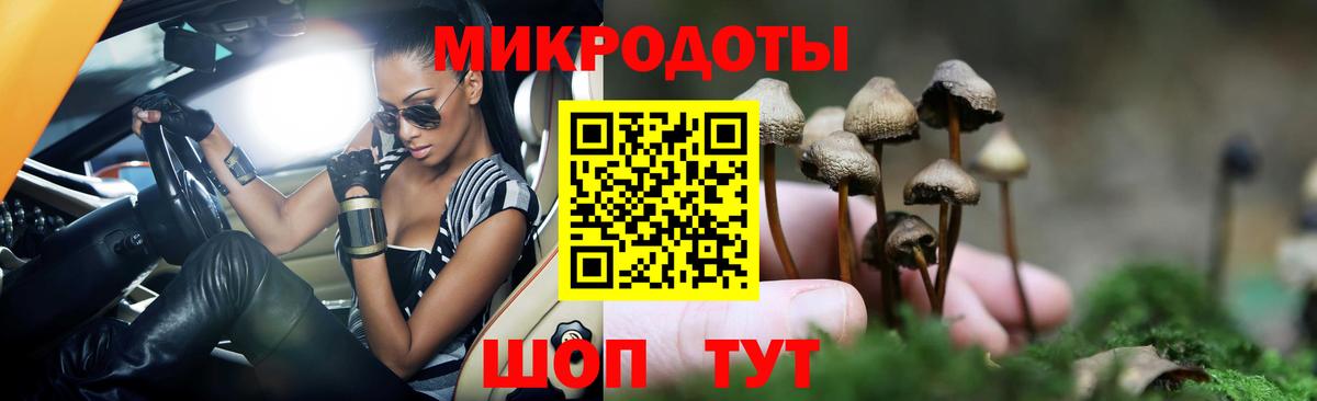 где купить наркоту  Вход с VPN  Тольятти  Псилоцибиновые грибы мухоморы 
